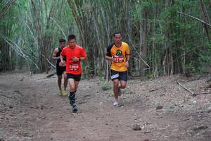 BIB: 7164, 2918
                            <button type="button" onclick="openModal(4120730)" class="btn btn-primary btn-sm float-right btn-popup" data-toggle="modal" data-target=".modal-high-quality">
                        <i class="fas fa-shopping-cart"></i> Add to Cart
                    </button>
                                            <button type="button" onclick="isThisMe(4120730, true)" class="btn btn-success btn-sm float-right btn-popup btn-isme hidden" data-toggle="tooltip" data-placement="bottom" title="นี่คือรูปของคุณใช่ไหม คลิกที่นี่เพื่อเอาเข้าอัลบั้ม">
                        <i class="fas fa-plus"></i> Add to album
                    </button>
                    <button type="button" onclick="isThisMe(4120730, false)" class="btn btn-warning btn-sm float-right btn-popup btn-isnotme hidden">
                        <i class="fas fa-ban"></i> Remove from album
                    </button>